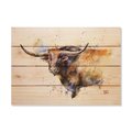 Wile E. Wood 20 x 14 in. Crousers Longhorn Wood Art DCLH-2014